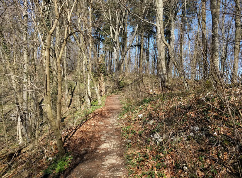 Burgstelle Randeck, Germany